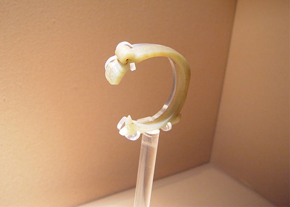 C-shaped Jade Ware in Hubei Provincial Museum