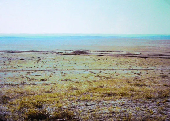 Jin Dynasty Great Wall Ruins