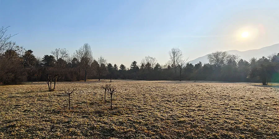 Landscape within Emperor Qin's Mausoleum
