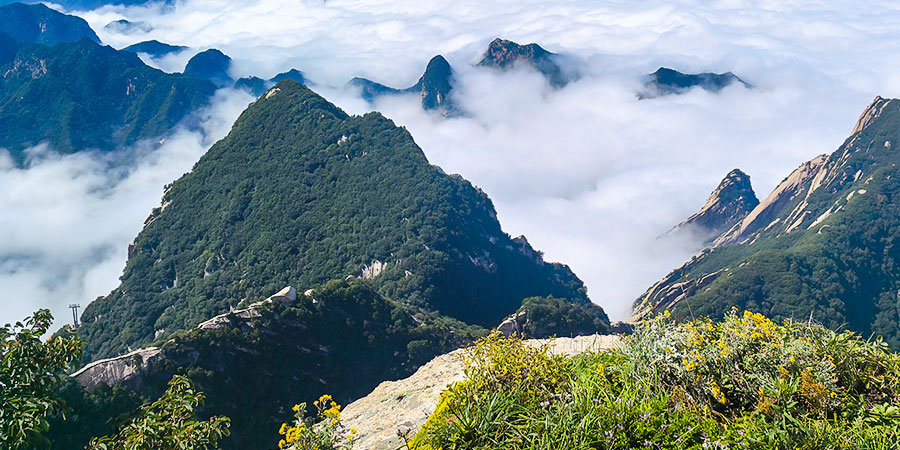 Sea of Clouds in Autumn of Mount Huashan