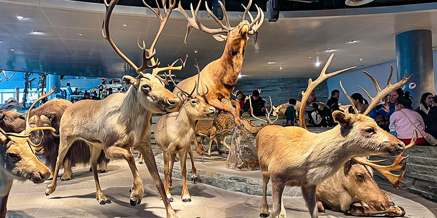 Natural History Museum