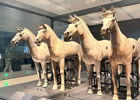  Neighing Terracotta Horses