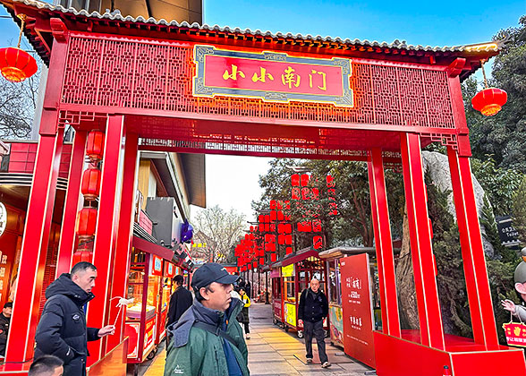 The Market for Chinese New Year