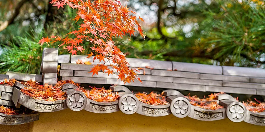 Red Leaves in Yu Garden