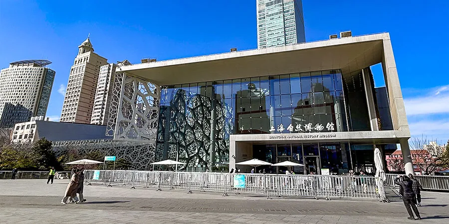 A Bit Cold but Sunny Winter