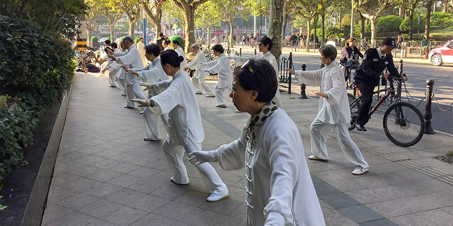 Cool Autumn of Shanghai