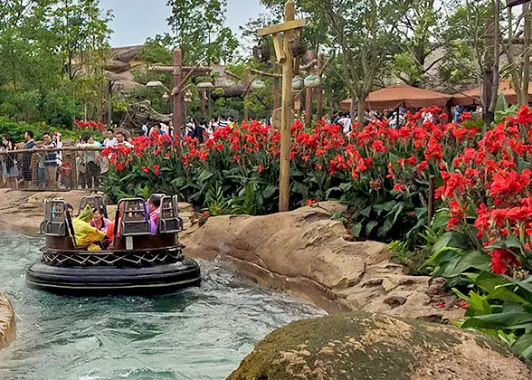 Disneyland Park with Spring Flowers