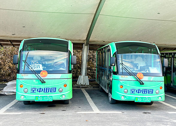 Sightseeing Bus to Sky Garden