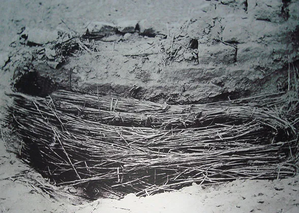 Straw torches for burning