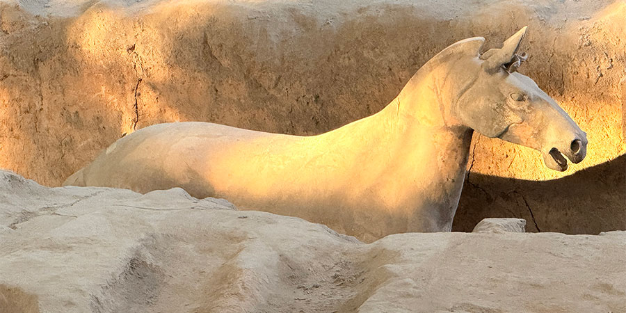 Terracotta Horse under Sunlight