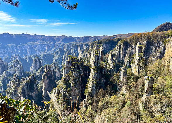 Imperial Brush Peak in Tianzi Mountain