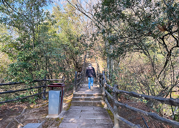 Steep Stairs to Tianzi Mountain