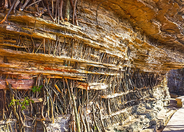 Trekking Stick in Zhangjiajie Forest Park