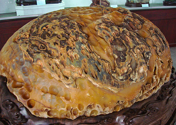 Peculiar Stone on Display