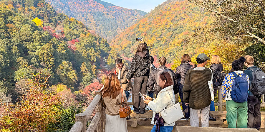 Autumn Foliage in Wuhan Huangpi Mulan