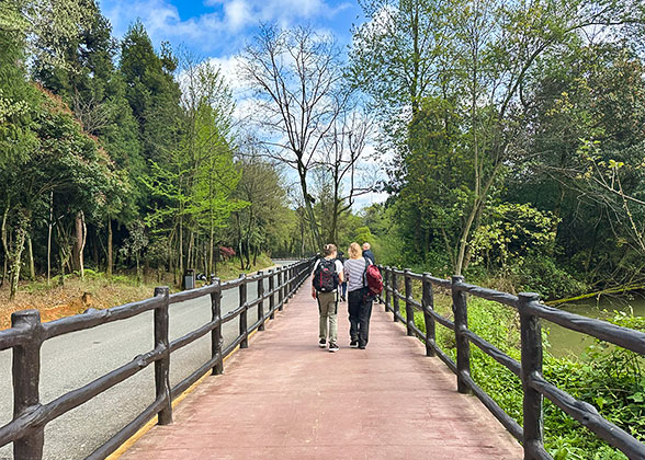 Barrier-free Walkway at Yuanjiajie