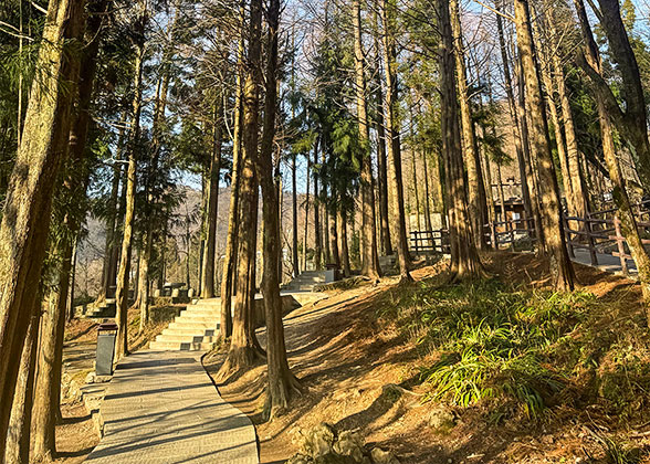 Mountain Road in Zhangjiajie Forest Park