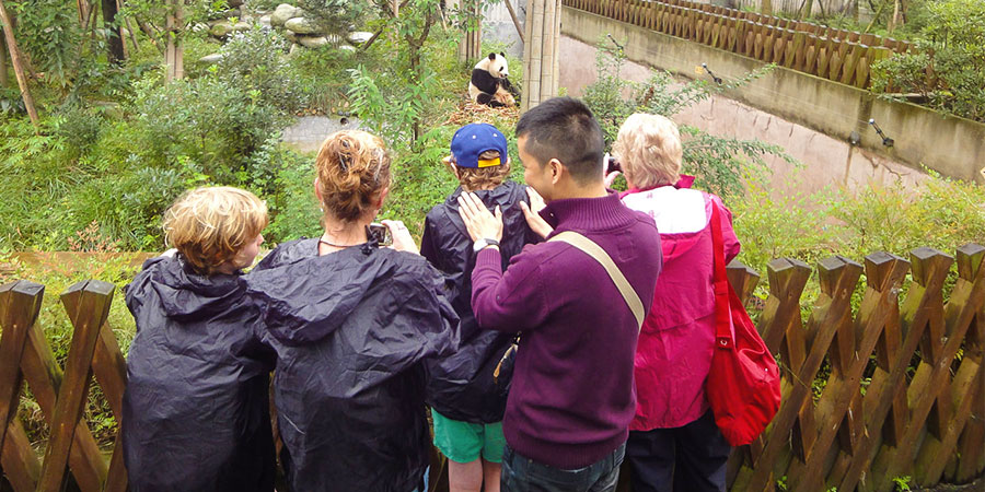 Tourists Viewing Adorable Panda
