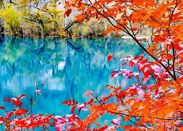 Fiery-red Autumn Foliage in Jiuzhaigou