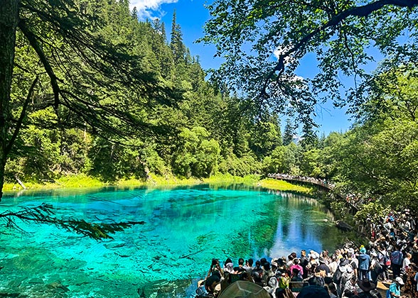 Gorgeous and Popular Five-color Pond Gorgeous and Popular Five-color Pond