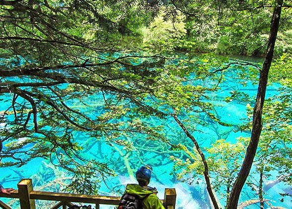 Fantastic Summer Scenery of Jiuzhaigou Fantastic Summer Scenery of Jiuzhaigou