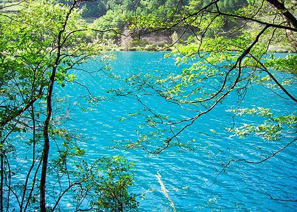 Tiger Lake on the Central Route of Jiuzhaigou Tiger Lake on the Central Route of Jiuzhaigou