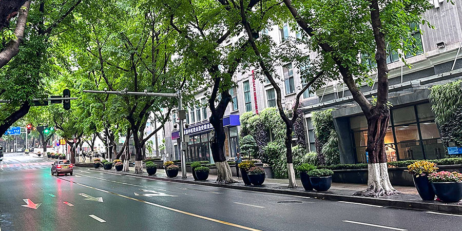 Street Scene of Leshan in April