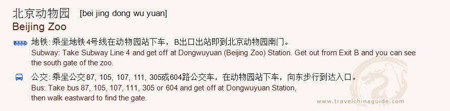 Transportation to Beijing Zoo for print