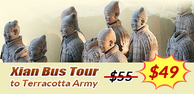 Xi'an bus tour