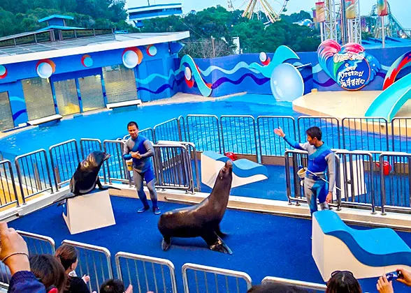 Ocean Park Hong Kong