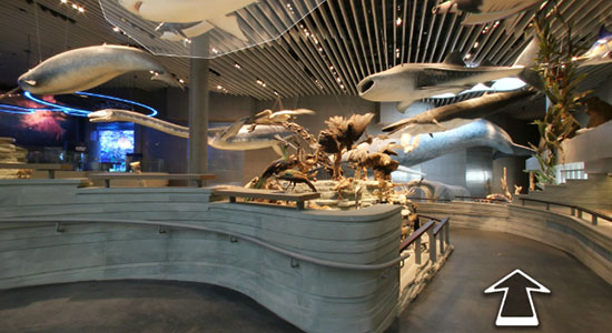 Shanghai Natural History Museum