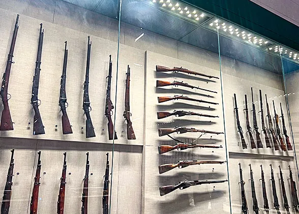 Various Guns