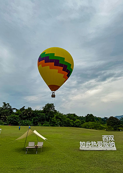 Hot Air Ballons under Clear Skies Hot Air Ballons under Clear Skies