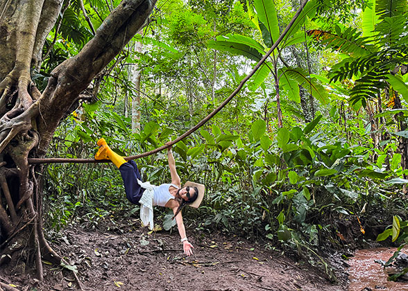 Rainforest Hiking Tour