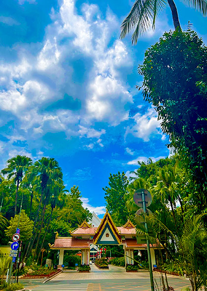 Clear Blue Sky in June Clear Blue Sky in June