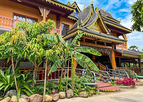 Warm Climate in February in Xishuangbanna