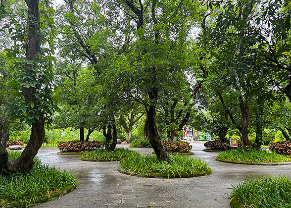 Sudden Rainfall in April Sudden Rainfall in April