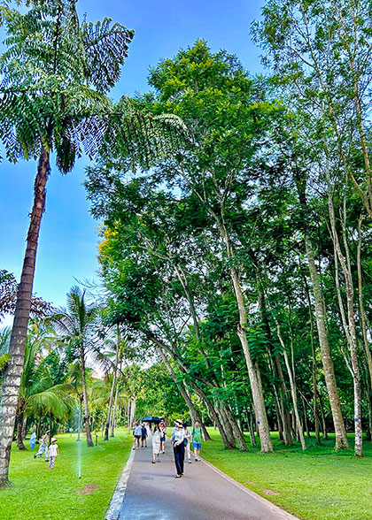 Xishuangbanna Dry Season in December Xishuangbanna Dry Season in December