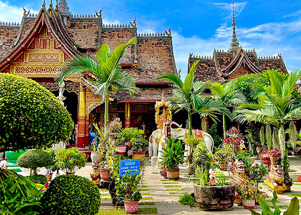 Clear Sky in Xishuangbanna in January