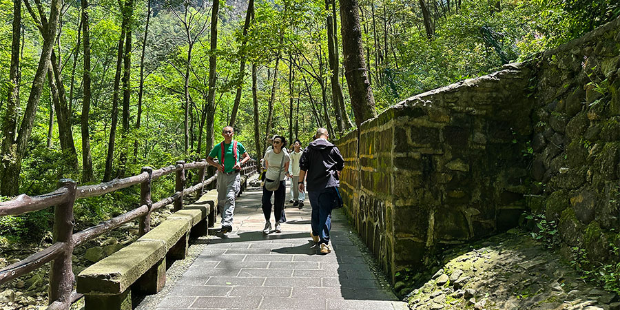 Golden Whip Stream at Zhangjiajie National Forest Park Golden Whip Stream at Zhangjiajie National Forest Park