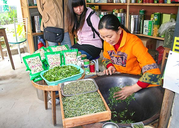Frying Longjing Tea