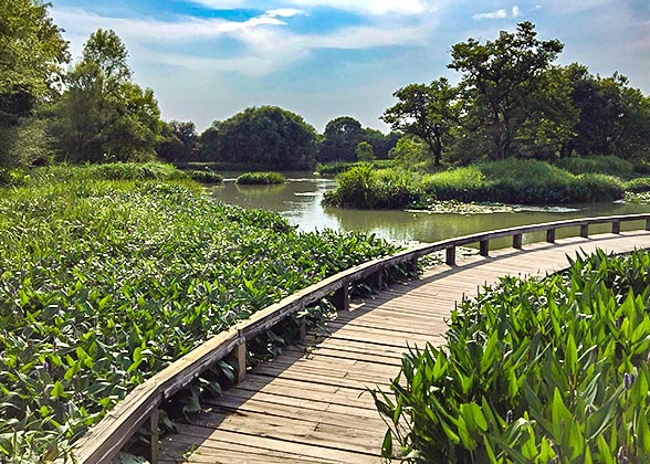 Xixi National Wetland Park Xixi National Wetland Park