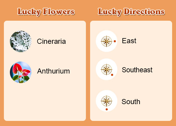 Lucky Flowers and Directions of Tigers